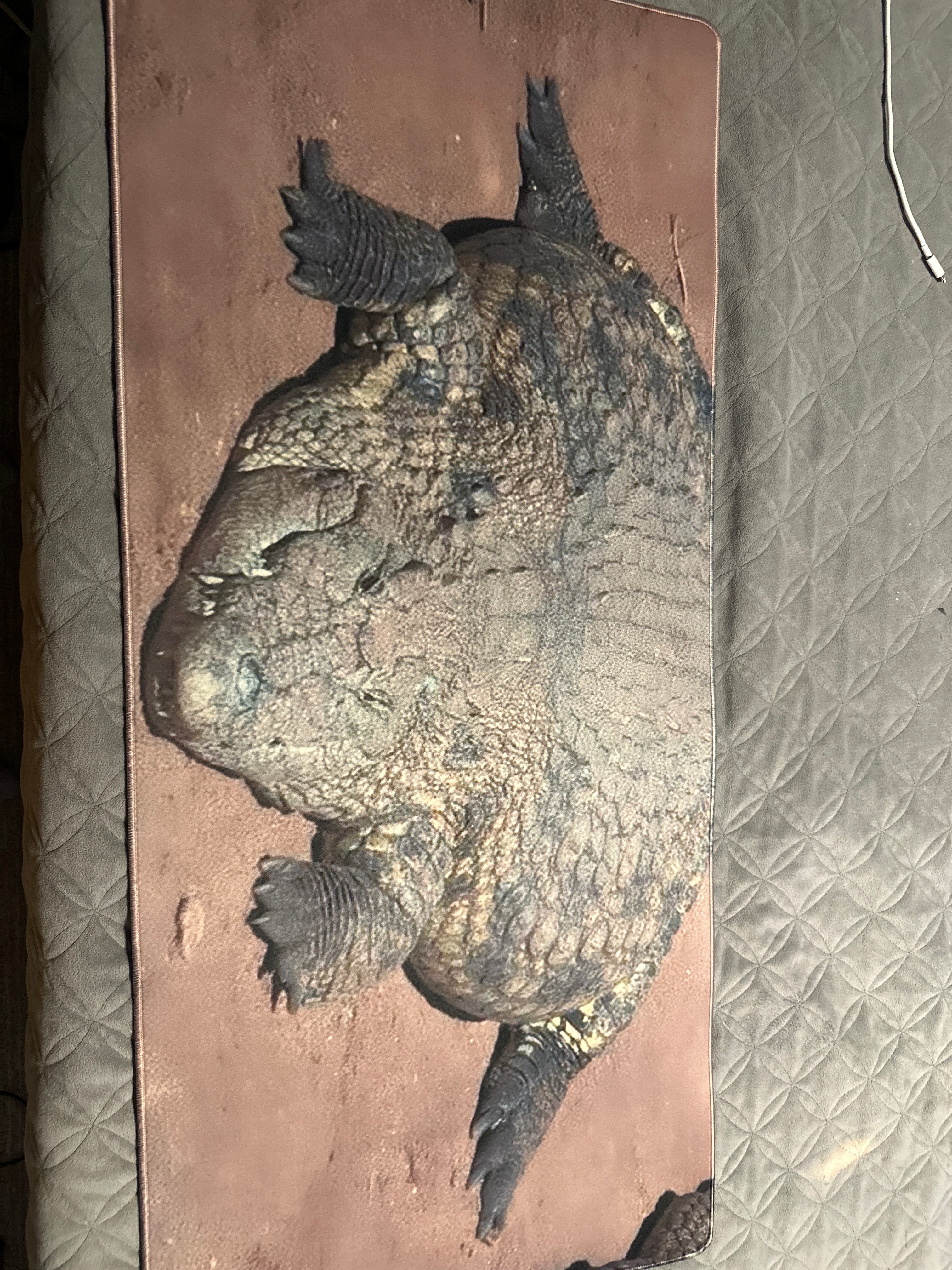 Review photo of deskmat by Dan